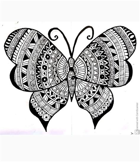 Butterfly Doodle Art Butterfly Art Drawing Butterfly Sketch