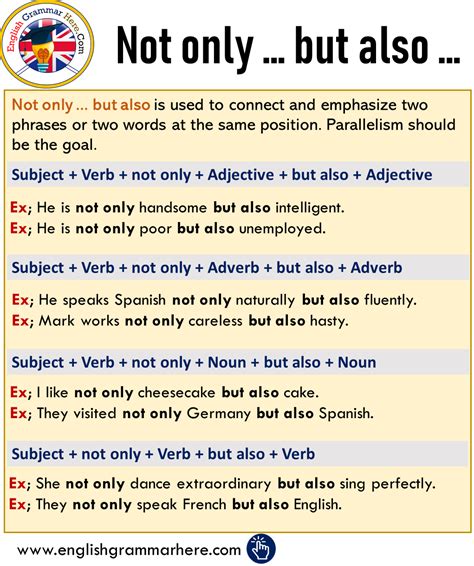 Not Only Synonym