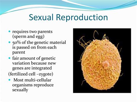 Requires Two Parent Cells