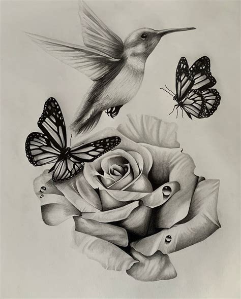 Rose And Butterflies By Zetas Art On Deviantart