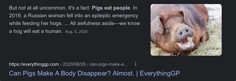Would Pigs Eat A Human
